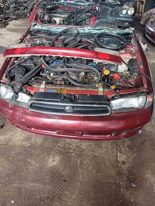 Новый привоз авкаров