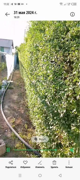 Сотилади участка 3 сотих ва времянка  Билан 14кв,м,