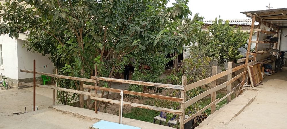 Xovli sotiladi Termiz shahar pekarnida