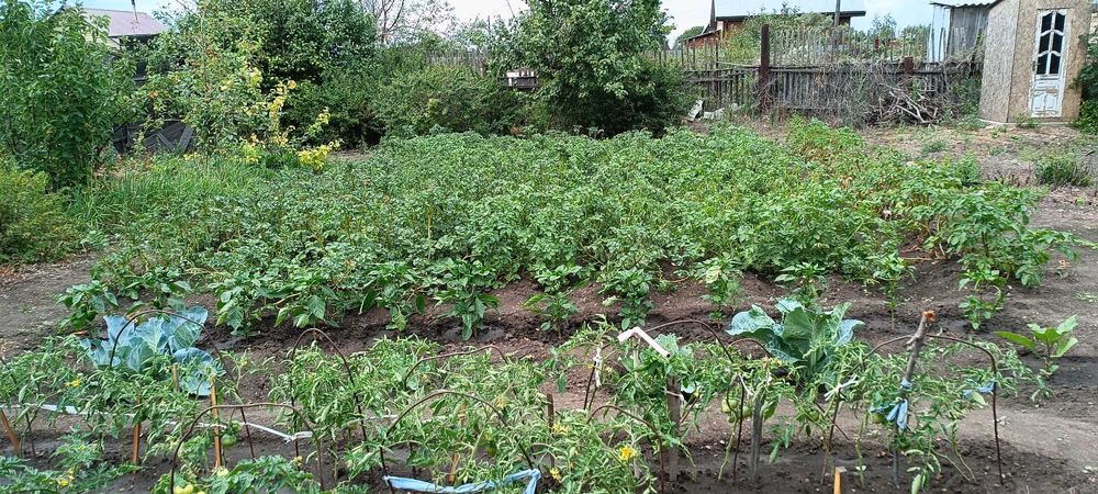 Продам дачу на зерендинские дачах