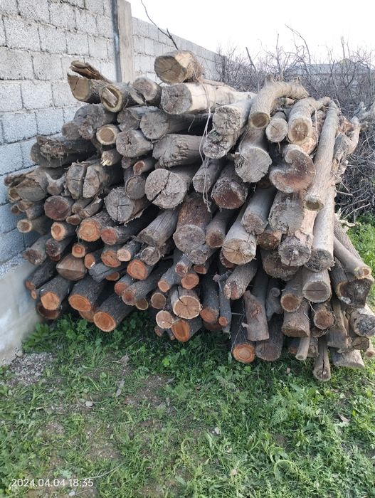 Стоика ұзындығы екі метірден асады