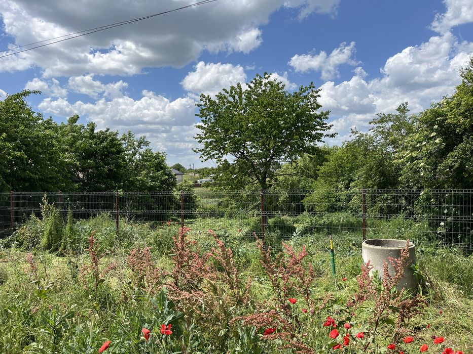 De vânzare teren intravilan în Frumuşani , județul Călărași