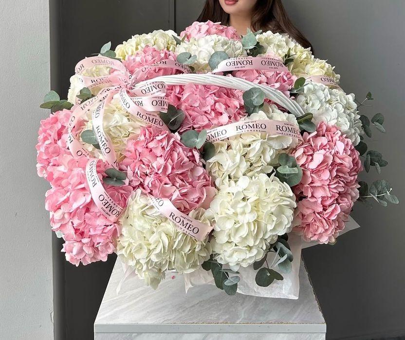 Цветы новые гортензии