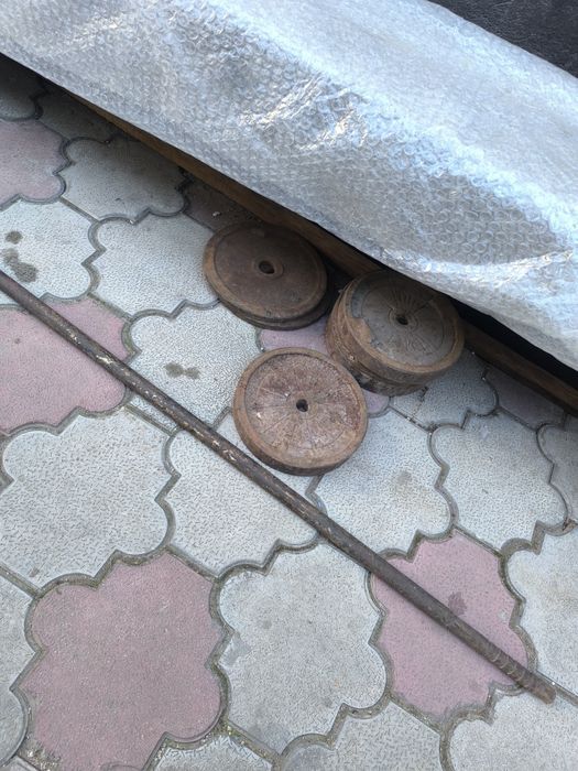 Штанга с блинами