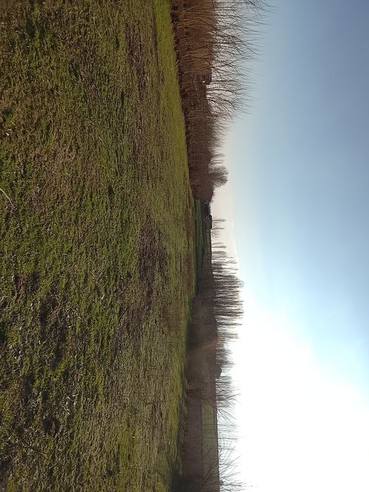 Срочна 53 сотихли йер учаскамиз сотуга чикти