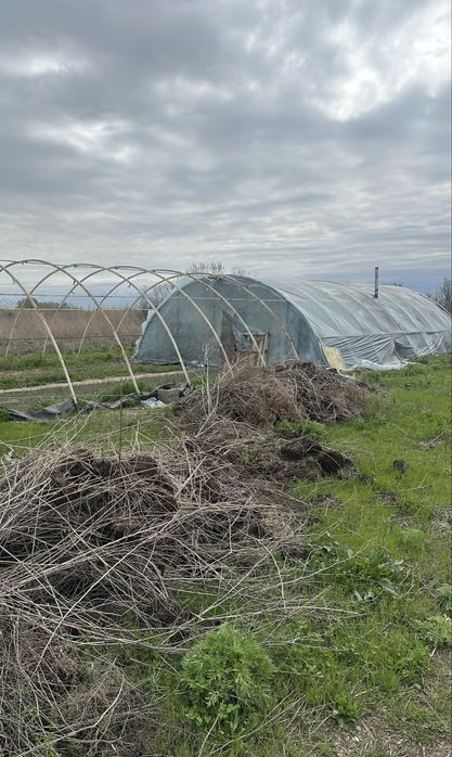 Продам Теплица