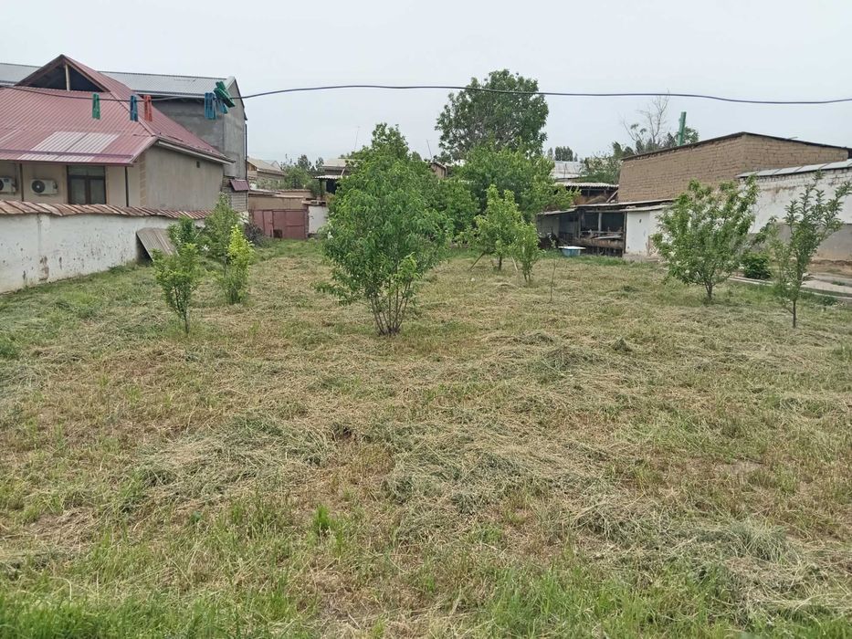 Шоро бозорда ер сотилади 8 сотих нархи 15000 сотихи