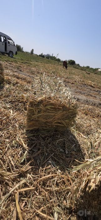 маккаи прес сотилади