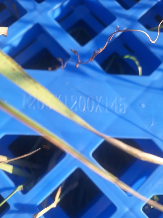 Paleti plastic 120/120
