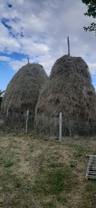 Vând două clăi de fân de anul acesta 2026