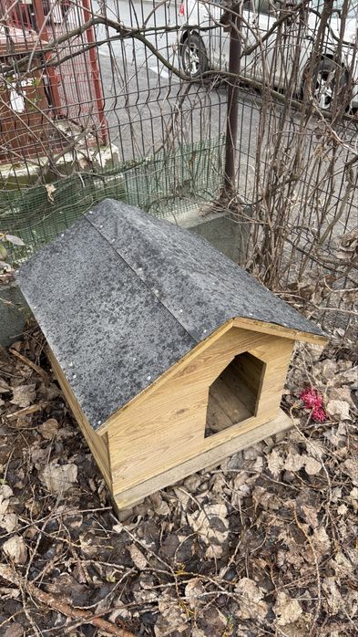 Cușcă câine din lemn – solidă, rezistentă