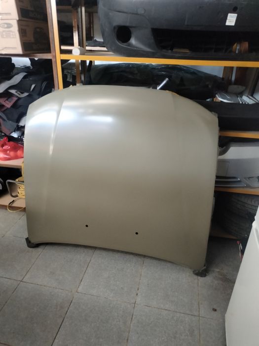 Нексиге капот бар