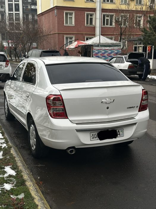 2020-21 Кобалт механика, краска тозза