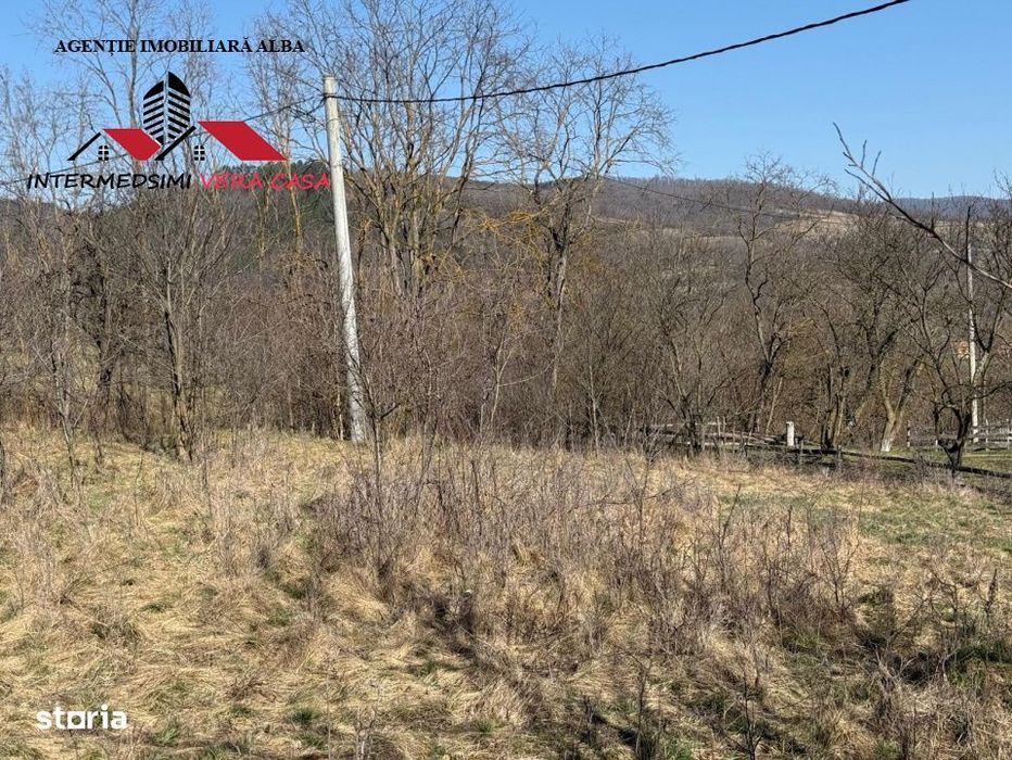 Casa si anexe cu un teren de 7701 mp de vanzare in Stauini  Jud Alba