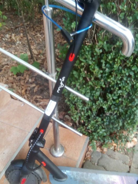 trotineta                      myria