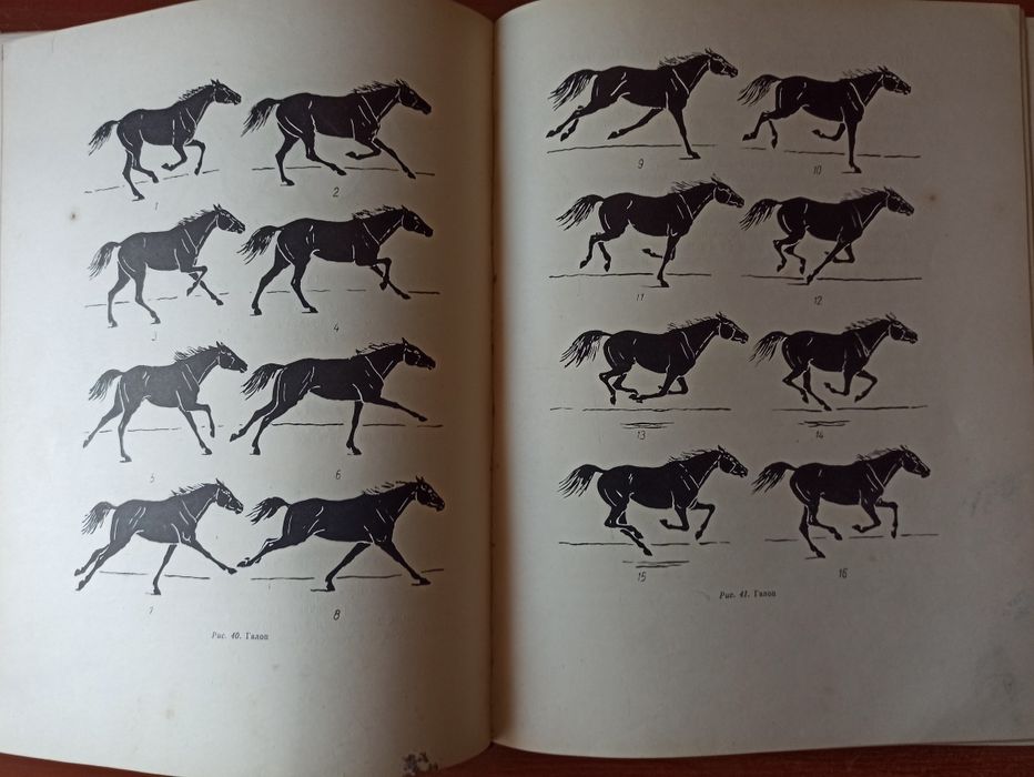 Как рисовать лошадь - Как да нарисуваме кон