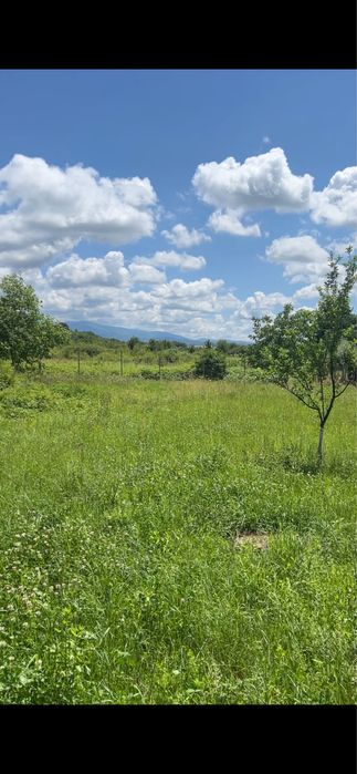 Teren de vânzare 1.216 m² – Petrileni, Bihor (la doar 1 km de Ștei)