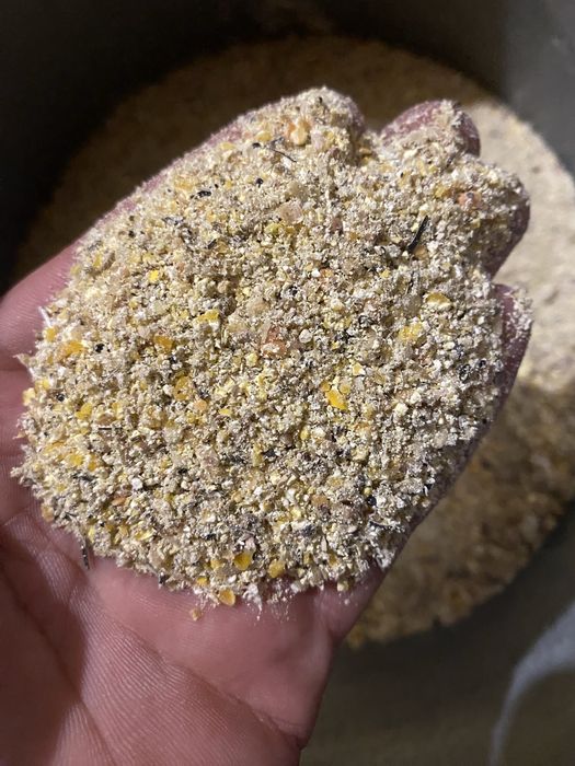 Продам дробленую кукурузу