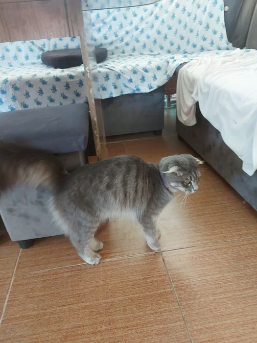 Продается срочно