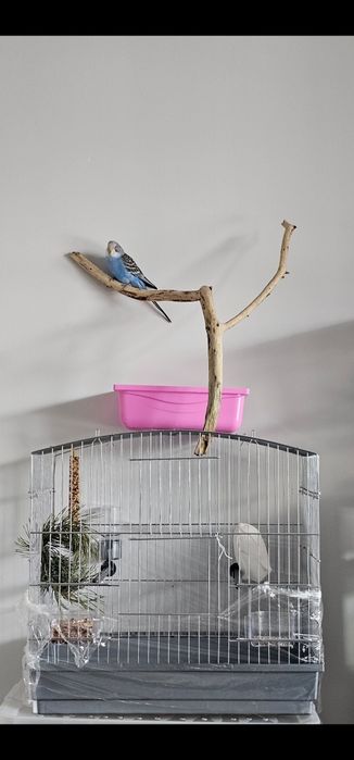 Клетка для попугая