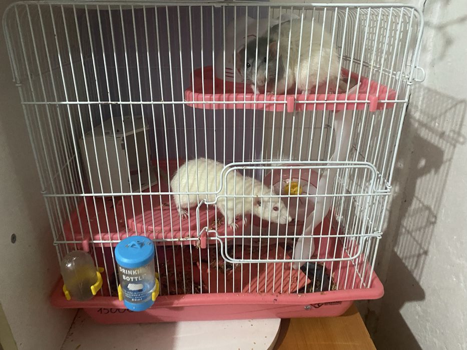 Продам срочно клетки