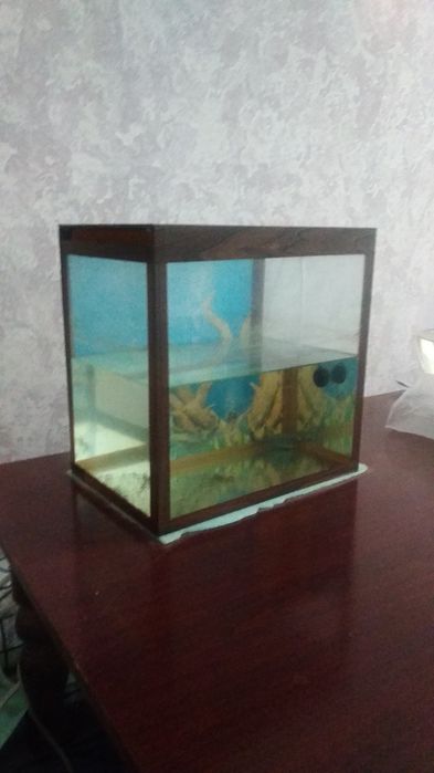 Akvarium  sotiladi