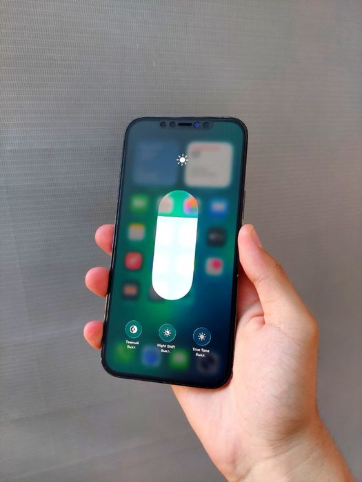 Iphone 12 pro max ideal
