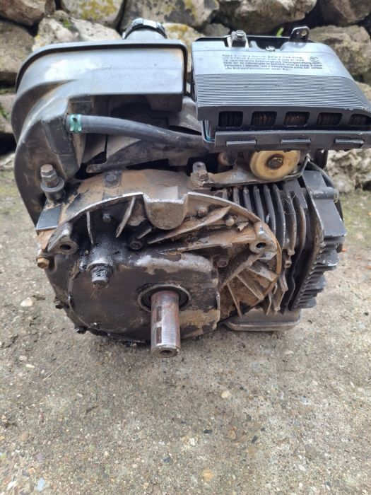 Двигател Briggs  Stratton, Бригс Страйшън