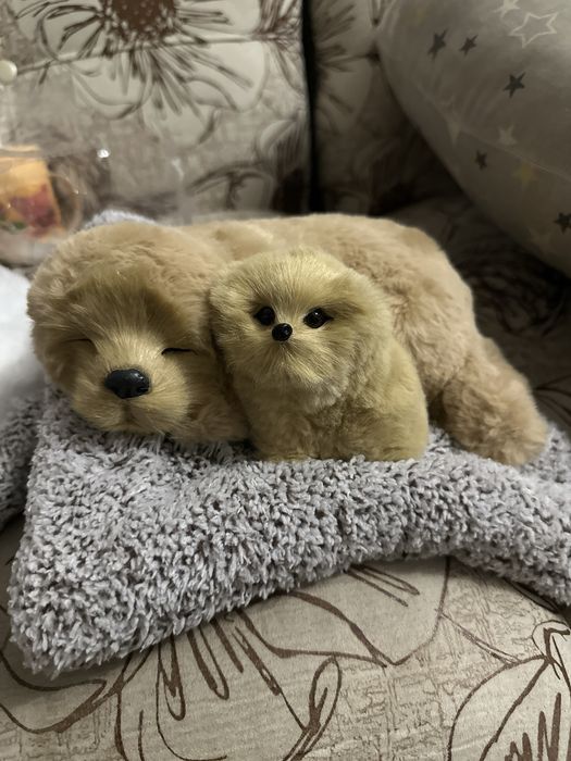 На лето обувь красивые