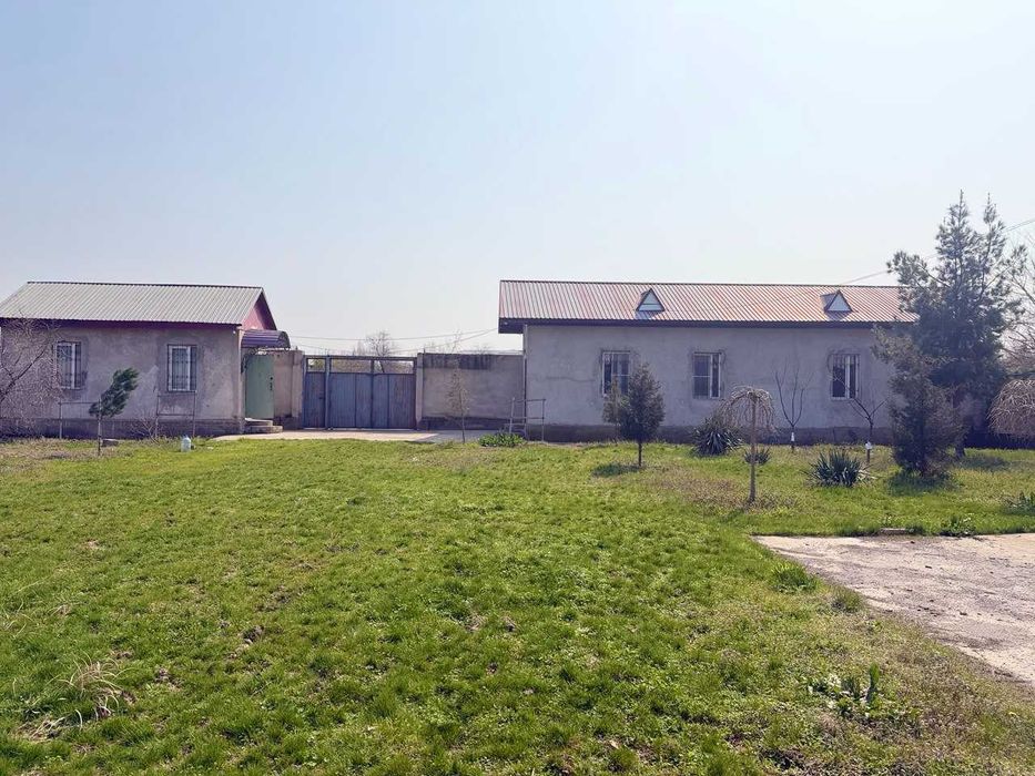 16 соток земли у воды рядом с Ташкентом — всего 13 км от круга Рохат