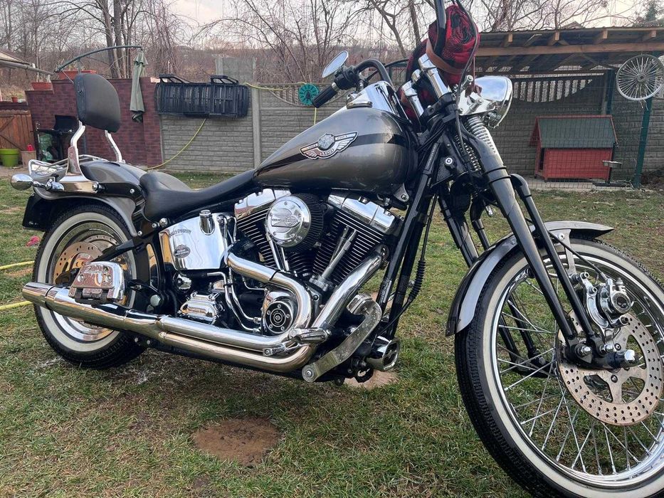 Harley Davidson springer,softail
