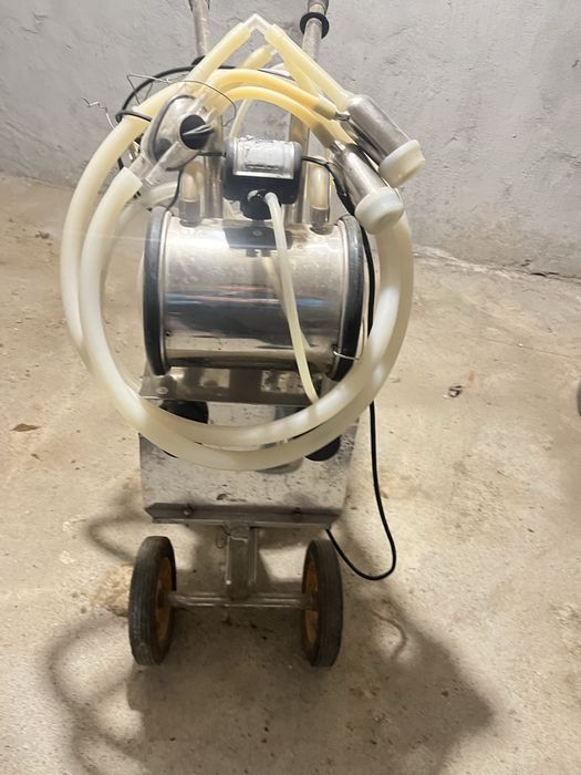 Бие, сиыр ешкі сауатын апарат