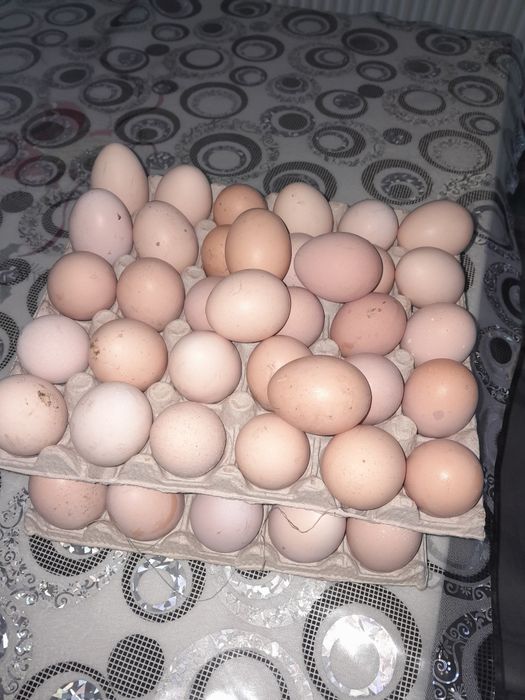 Ouă de țară de vânzare