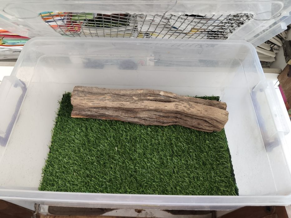 Террариум для рептилий