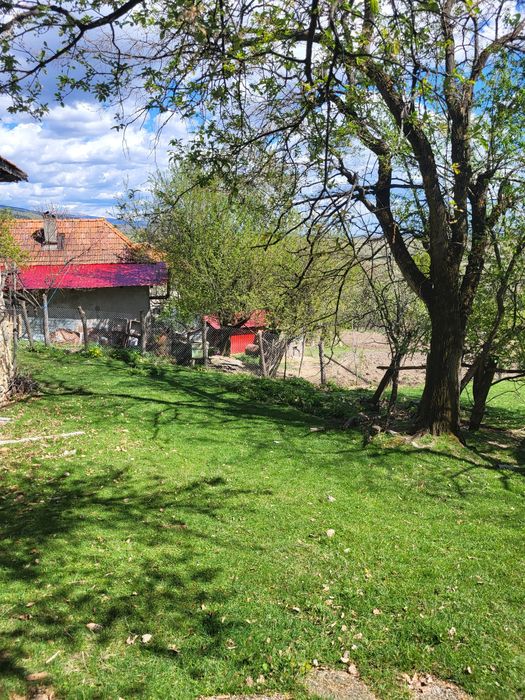Vand doua proprietatu (casa plus teren) in Musetesti Gorj