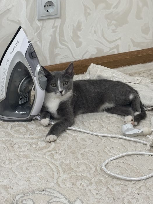 Пол М. Отлам в хорошие руки