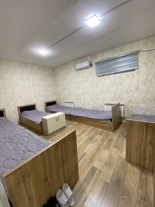 Hostel/Hostel 50.000/Tashkent Hostel