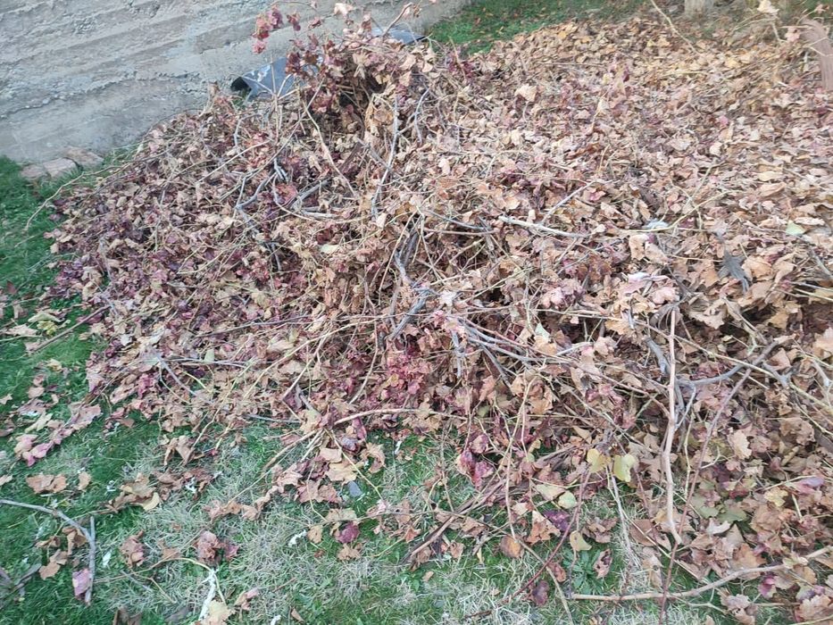 Отдам дрова бесплатно Отын тегін беремін