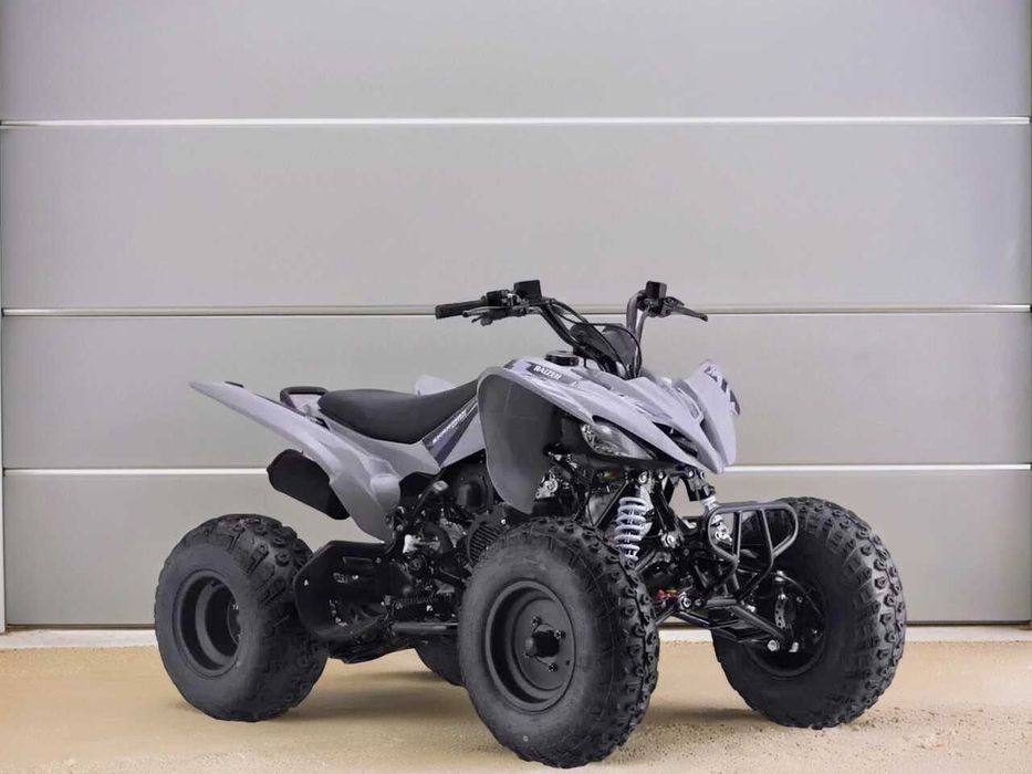 Квадроцикл Sharmax Raizer Race Cup 250