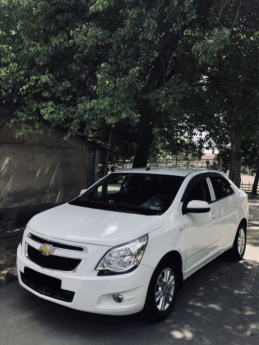 Cobalt 2024.