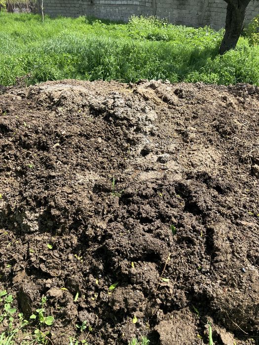 Vand ingrasaminte organica (gunoi de oaie)