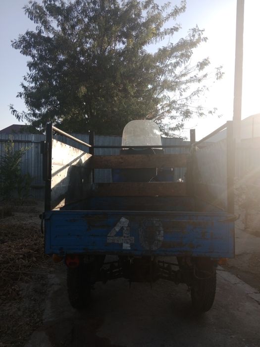 Муравей, мотоцикл