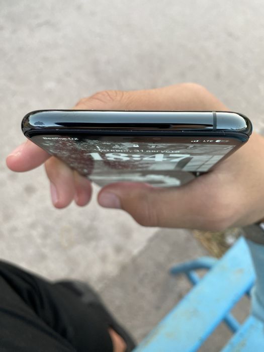 11 про мах 256