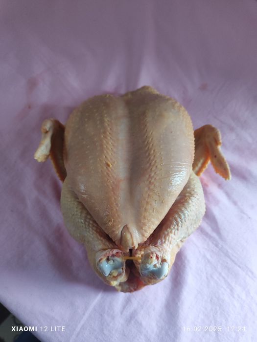 Мясо домашних бройлеров