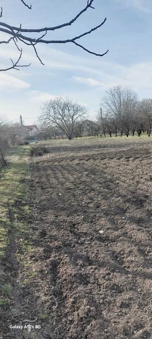 Teren de vanzare Dascalu/Ilfov