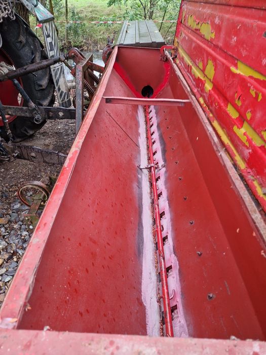 Semanatoare paioase sup 29