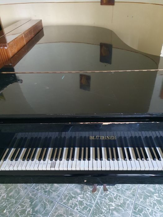 Pian de concert Bluthner.