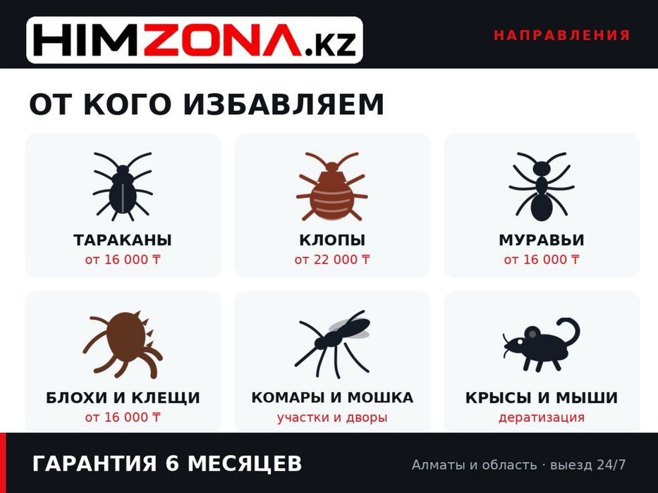 Профессиональная дезинфекция в Талгаре. Крысы, тараканы, клопы. 3ТА