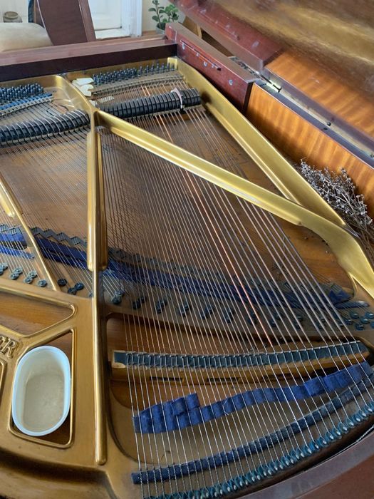 Pian coada scurta Blüthner