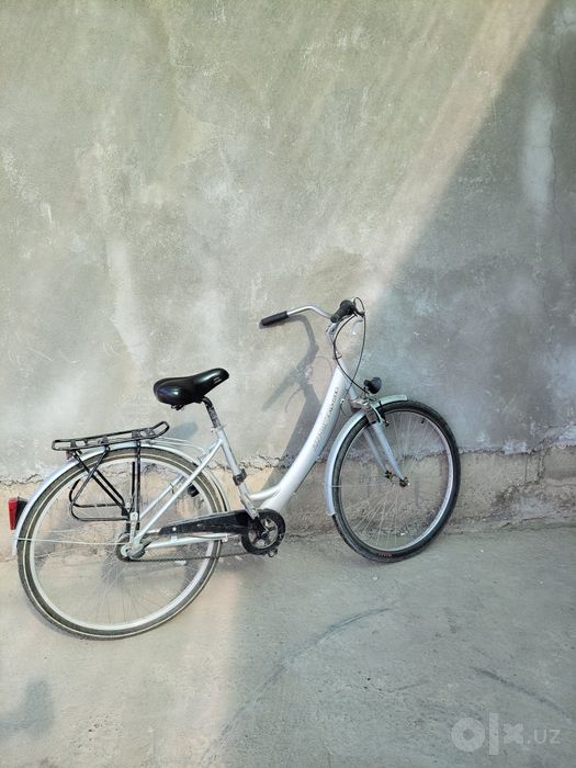 ALU-BIKE Fishcher